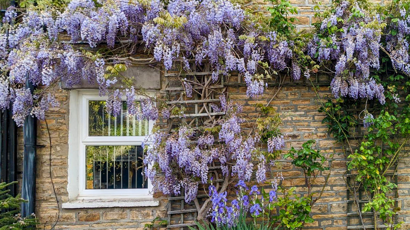 Station Cottages, Lanchester (SOLD STC)